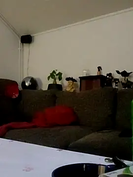 eltoulou online show from 12, 3, 2025