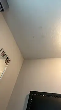 Phattpinktaco online show from 26, 2, 2025