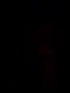 Phattpinktaco online show from 10, 1, 2026