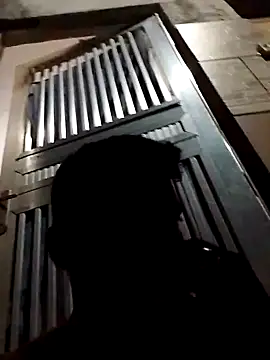 fieltoprj1 online show from 13, 12, 2024