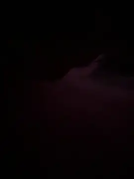 Nosleeptapoutvol1xxx online show from 15, 12, 2025