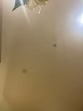 MEOW MEO online show from 20, 12, 2025