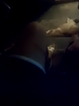 dredre1069 online show from 23, 2, 2026