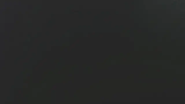 Snapshot of Dogz_n_daugthers chatting on 2, 2, 2025 Dogz n daugthers online show from 2, 2, 2025