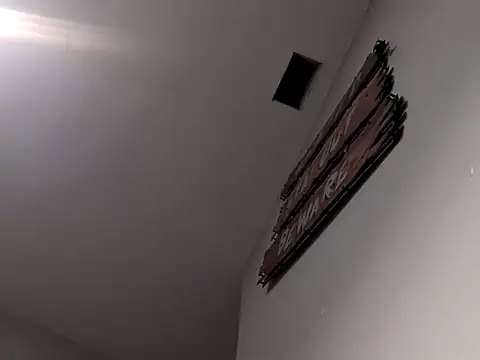 Snapshot of Dogz_n_daugthers chatting on 3, 12, 2024 Dogz n daugthers online show from 3, 12, 2024