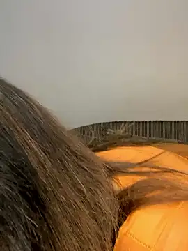 Amandious online show from 16, 4, 2026