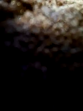 Exhibitionist1508 online show from 9, 9, 2025