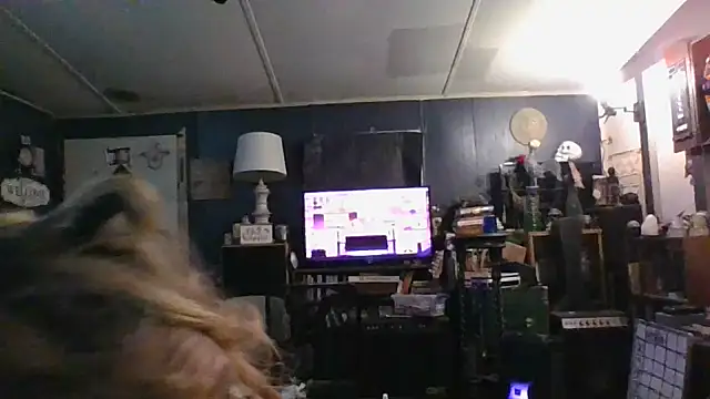 stormynight1 online show from 12, 10, 2025