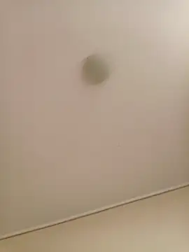 zafka 9 online show from 17, 4, 2026