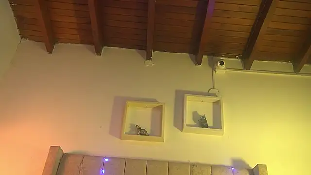 patty m online show from 15, 12, 2025