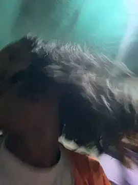 tamarabigass1 online show from 7, 12, 2024