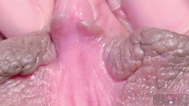 Alu ryu online show from 11, 3, 2026