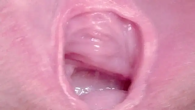 Alu ryu online show from 19, 3, 2026