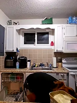 Dixiefaye Pika online show from 27, 2, 2025