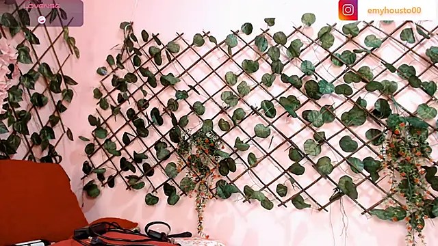 emyhouston00 online show from 1, 3, 2025