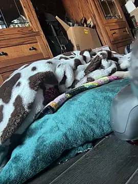 Snapshot of SexyB214 chatting on 7, 3, 2025 SexyB214 online show from 7, 3, 2025