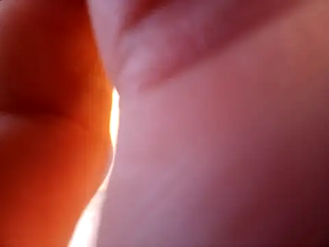 braza66 online show from 4, 4, 2026