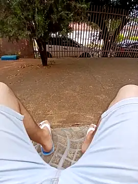 braza66 online show from 22, 2, 2026