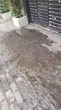 UncutToyBoy23cm online show from 13, 3, 2025