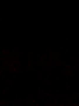 Adee21e online show from 12, 10, 2025