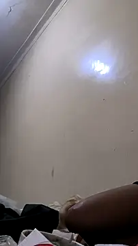 trans511 online show from 23, 11, 2025