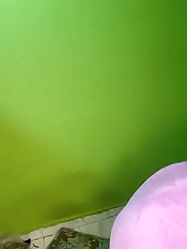 tamilachi4u online show from 14, 11, 2025