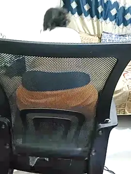 Adiba 2 online show from 1, 11, 2025