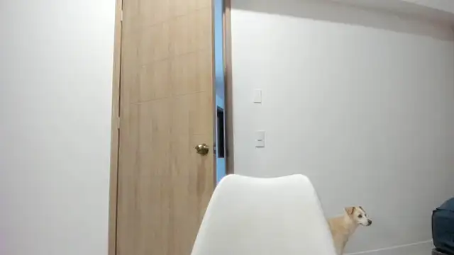 Vera Fernandez online show from 10, 4, 2026