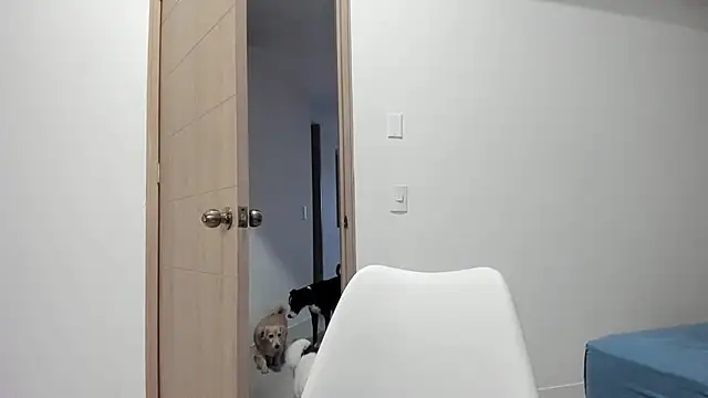 Vera Fernandez online show from 12, 11, 2025