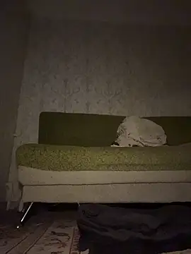 MissDasha online show from 7, 3, 2026