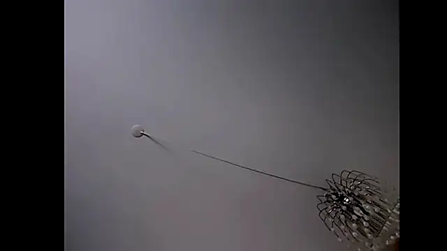 Pegg-fist-me online show from 29, 10, 2025