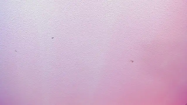 Red lady online show from 8, 4, 2026