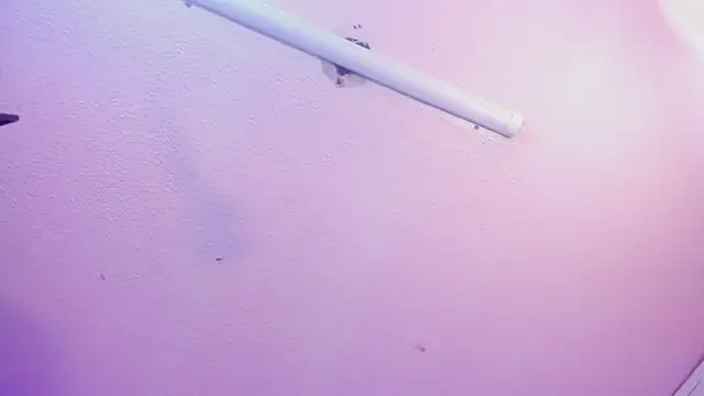 Red lady online show from 15, 1, 2026