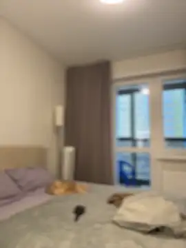 NewLale online show from 30, 11, 2025