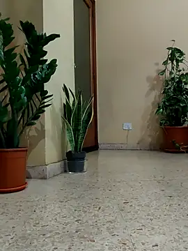 Melody87 online show from 1, 4, 2026