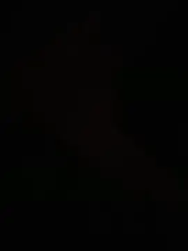 Snapshot of egyptman220 chatting on 8, 3, 2026 egyptman220 online show from 8, 3, 2026