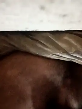 Snapshot of carlos40404 chatting on 30, 10, 2025 carlos40404 online show from 30, 10, 2025