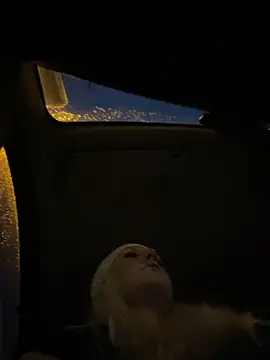 MerlinDave online show from 8, 11, 2025