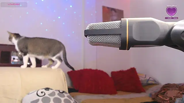 Marci owo online show from 27, 9, 2025