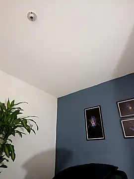 SilvaBranko online show from 9, 11, 2025