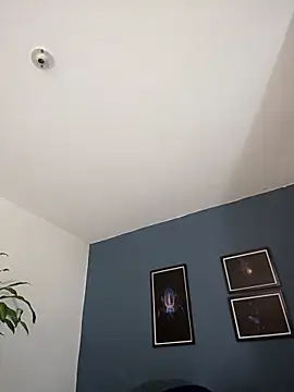 SilvaBranko online show from 27, 10, 2025