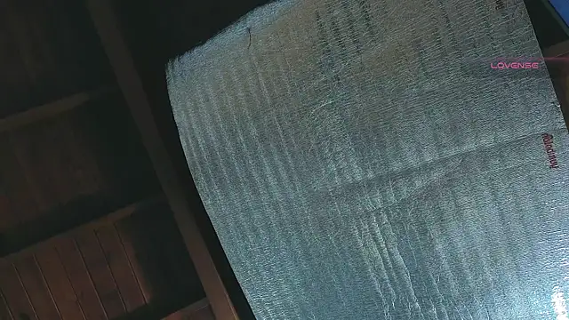 SilvaBranko online show from 13, 4, 2026