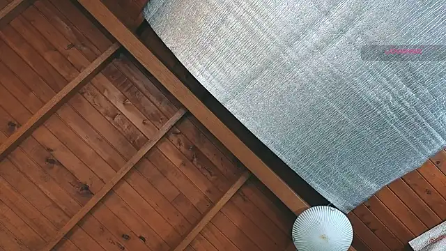 SilvaBranko online show from 27, 3, 2026