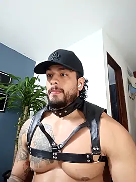 SilvaBranko online show from 17, 12, 2025