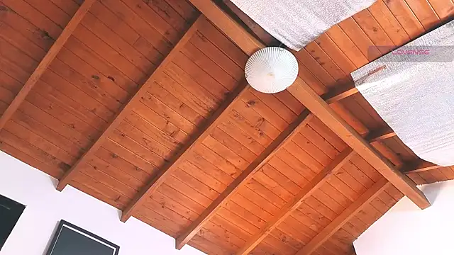 SilvaBranko online show from 14, 3, 2026