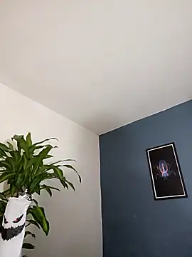 SilvaBranko online show from 4, 11, 2025