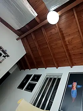 SilvaBranko online show from 7, 3, 2026