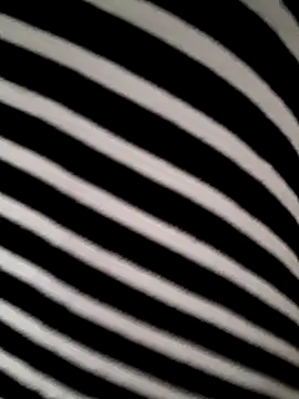 hotandfierylatinos2023 online show from 16, 3, 2026