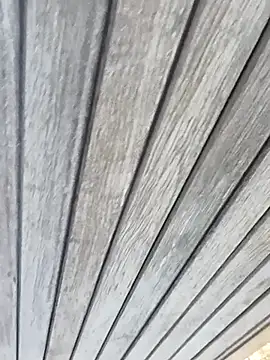 maleesa online show from 19, 9, 2025