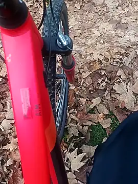 maleesa online show from 2, 11, 2025